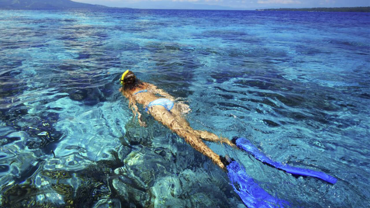 St. Barths Snorkeling - St. Barths, Gustavia