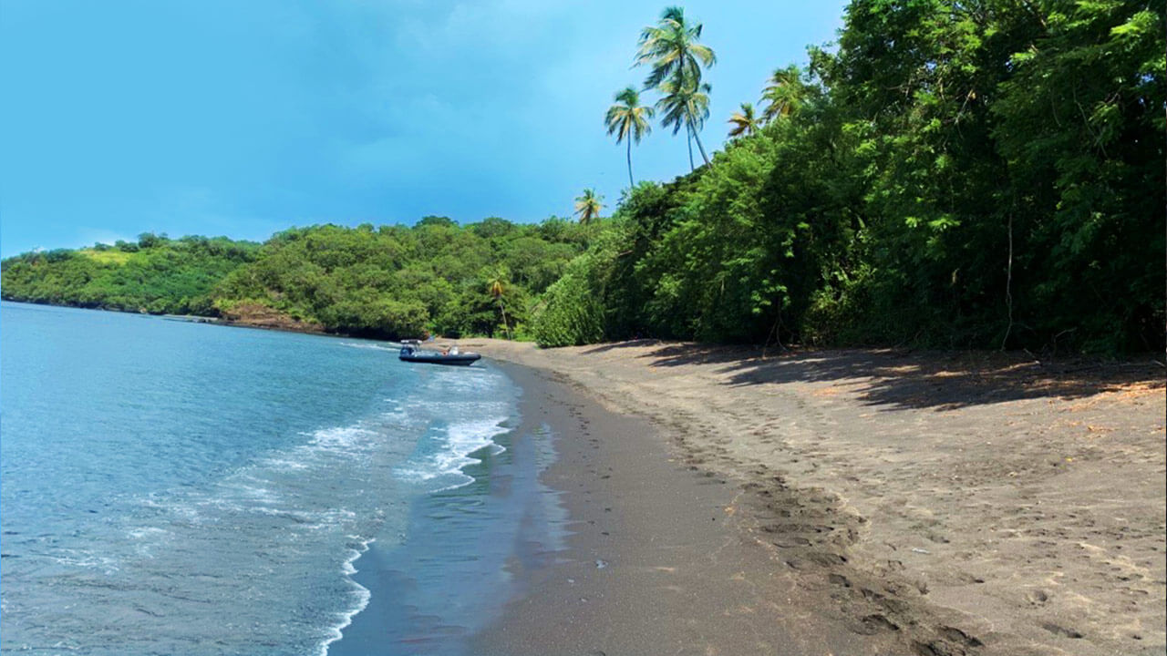 Mt. Wynne Beach the Grenadines 